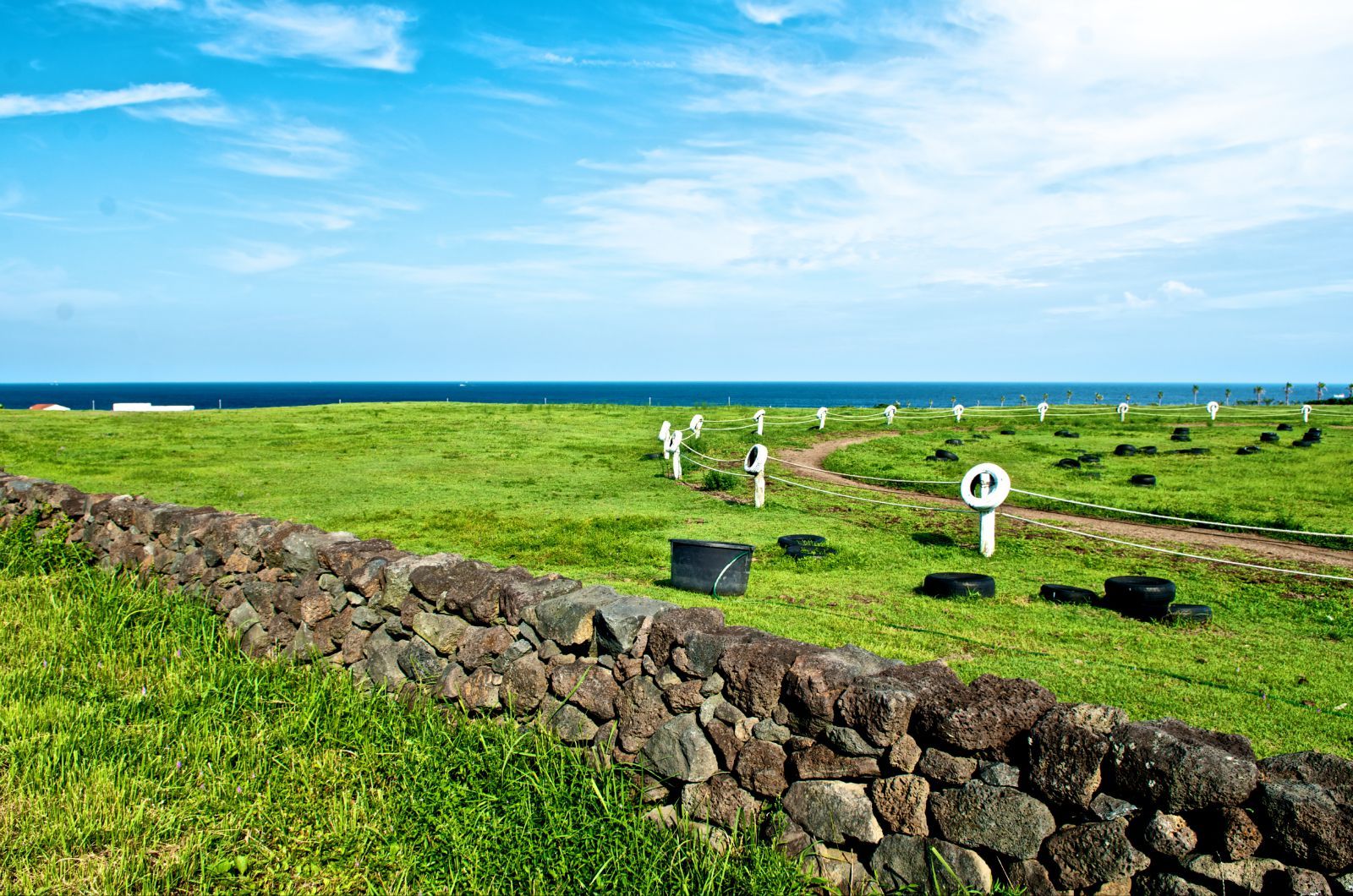 濟州島旅游季節(jié)攻略