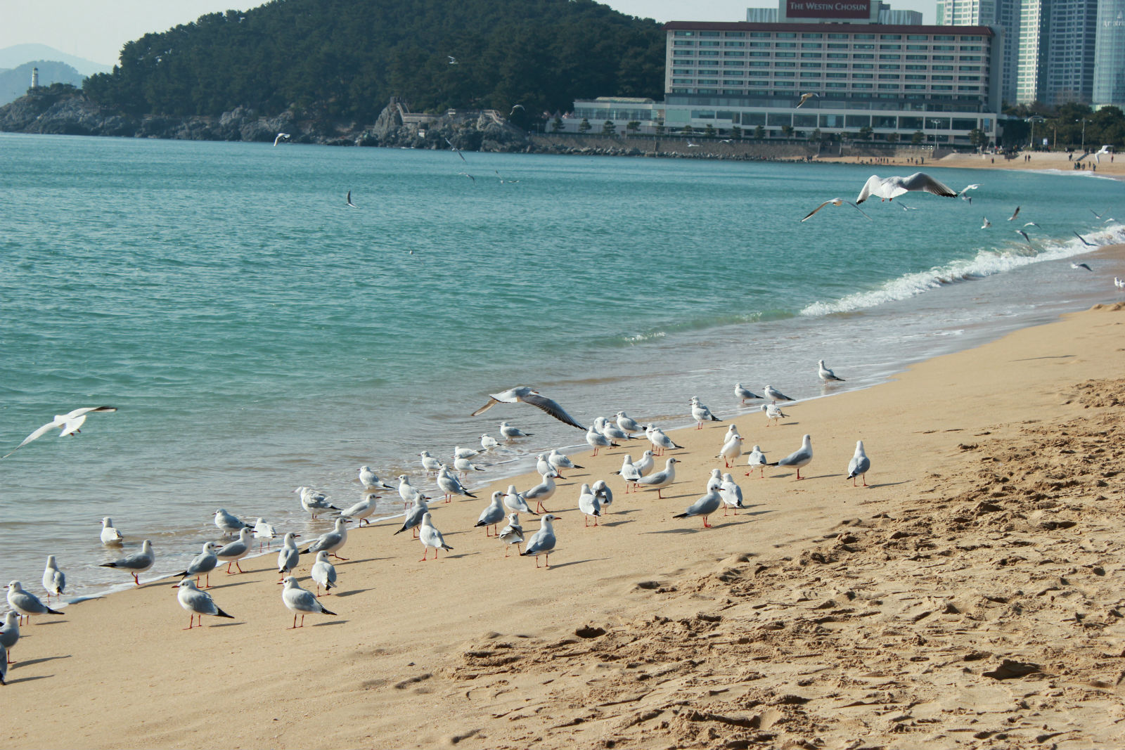 釜山海灘浴場(chǎng)攻略